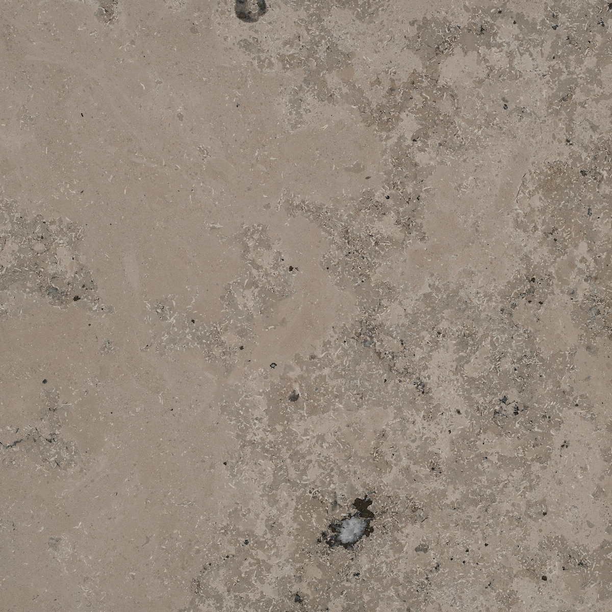 Jura Graublau er en tysk grålig kalksten med fossilaftegninger. Antik overflade.